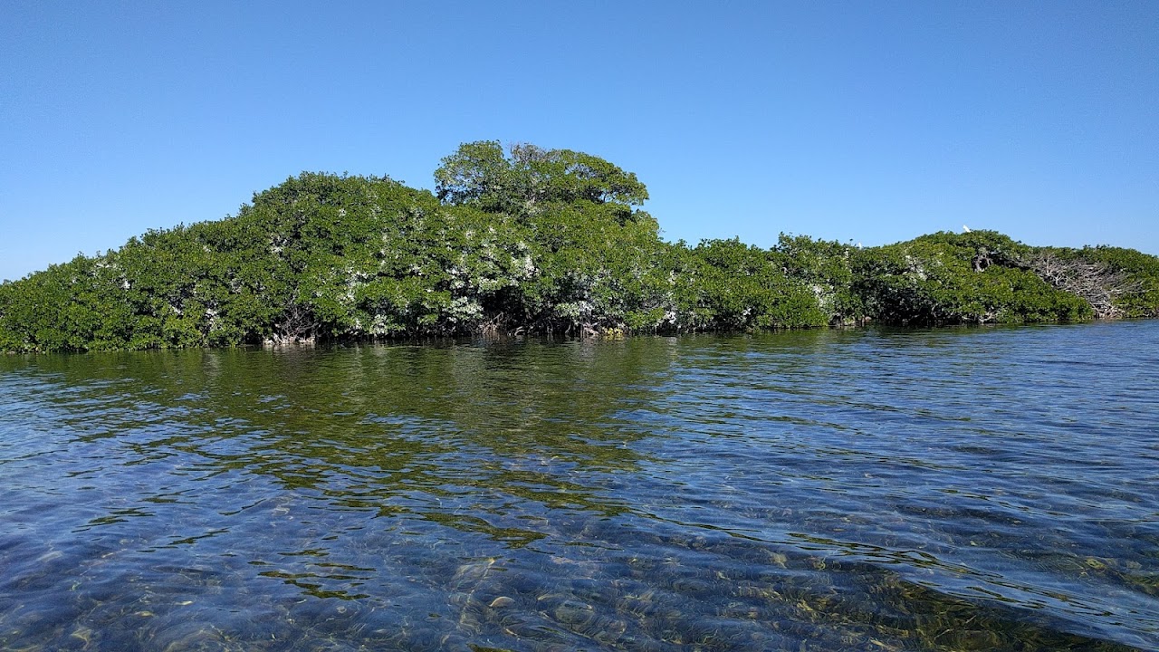 Aviary Island