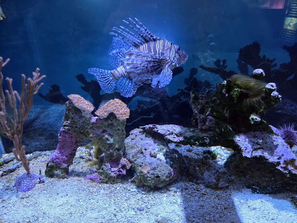 John Pennekamp Coral Reef State Park Visitor Center