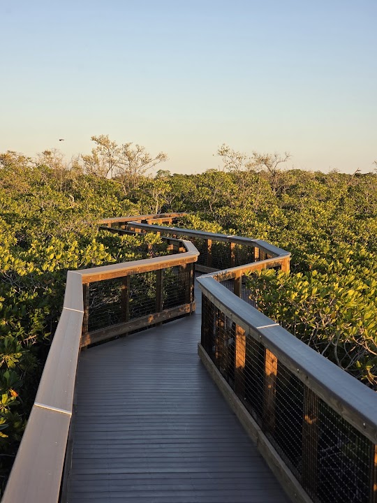 Mangrove Trail